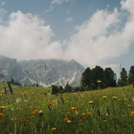 Terentnerhof 4*s Active & Lifestyle 4* Terento