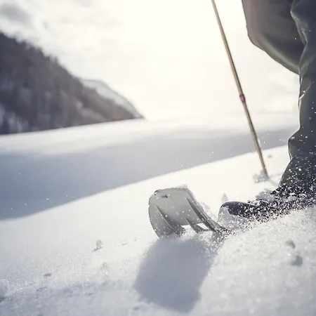 Terentnerhof 4*s Active & Lifestyle Szálloda 4*